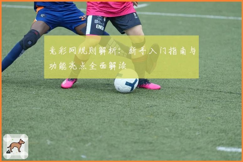 竞彩网规则解析：新手入门指南与功能亮点全面解读