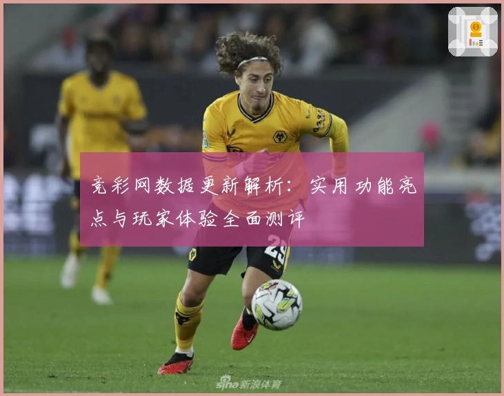 竞彩网数据更新解析：实用功能亮点与玩家体验全面测评