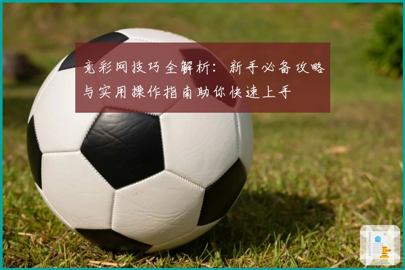 竞彩网技巧全解析：新手必备攻略与实用操作指南助你快速上手