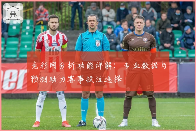竞彩网分析功能详解：专业数据与预测助力赛事投注选择