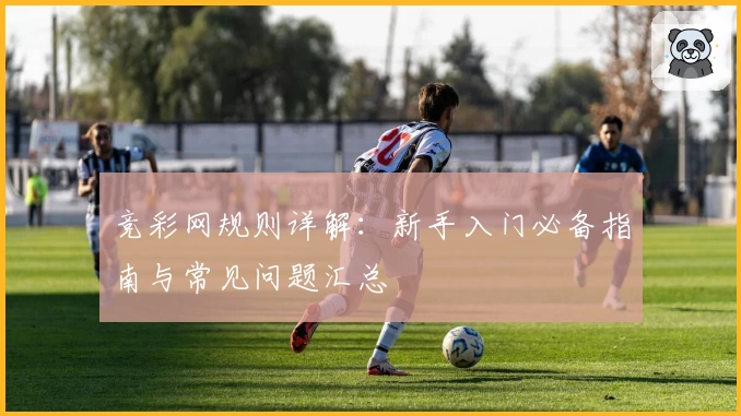 竞彩网规则详解：新手入门必备指南与常见问题汇总